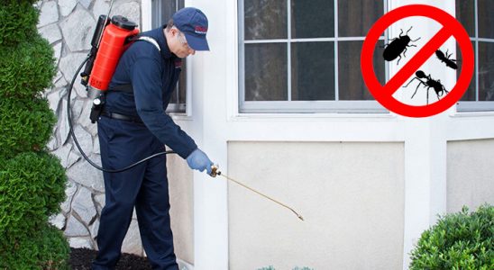 Aksaray Böcek İlaçlama böcek ilaçlama ve haşere kontrolü — ilaclama-tr.com